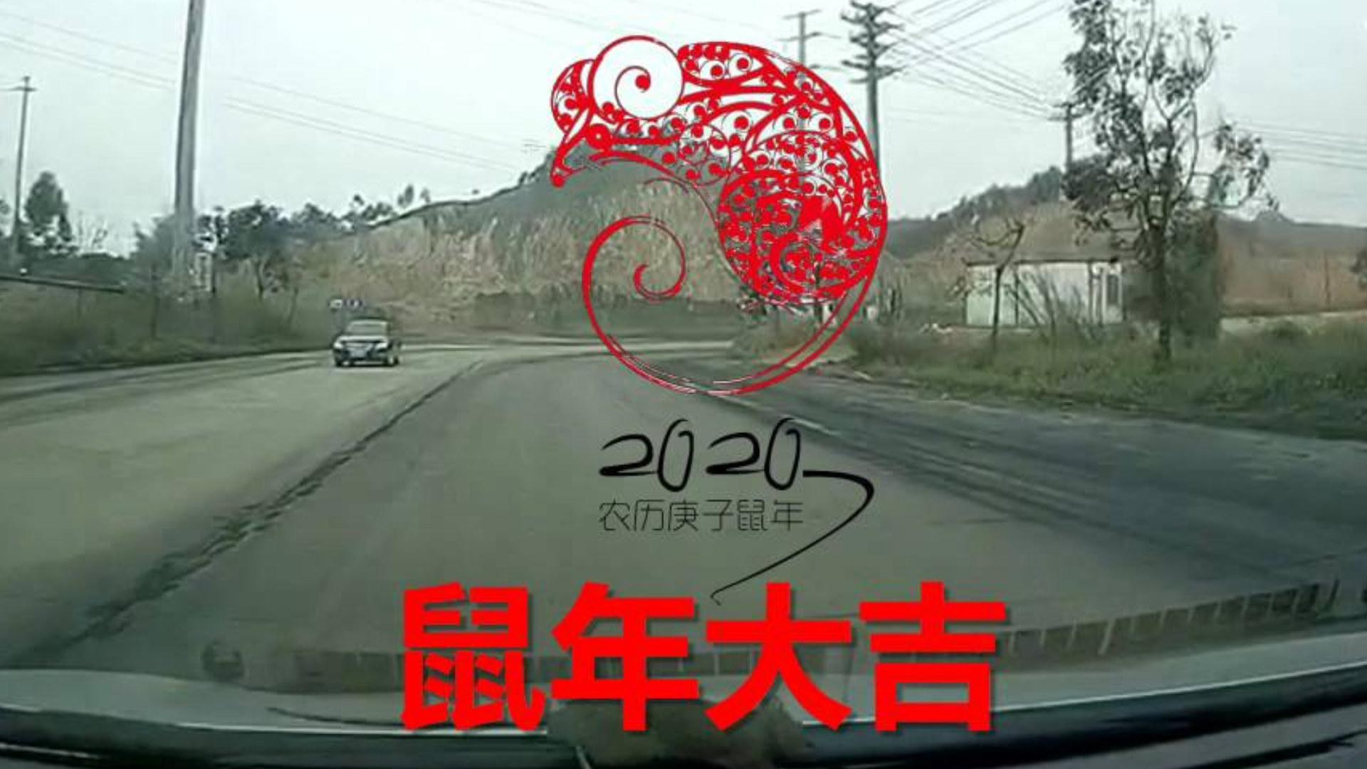 交通事故2020:十二生肖(伪)